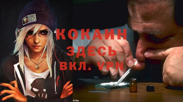 кокс Алексин