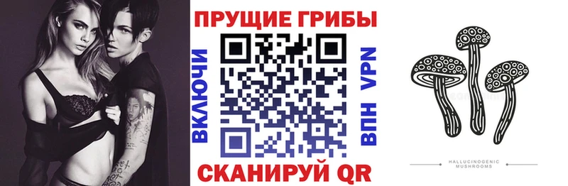 Псилоцибиновые грибы Cubensis  hydra ссылки  Зеленоградск 